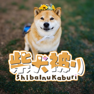 柴犬被りのアイコン